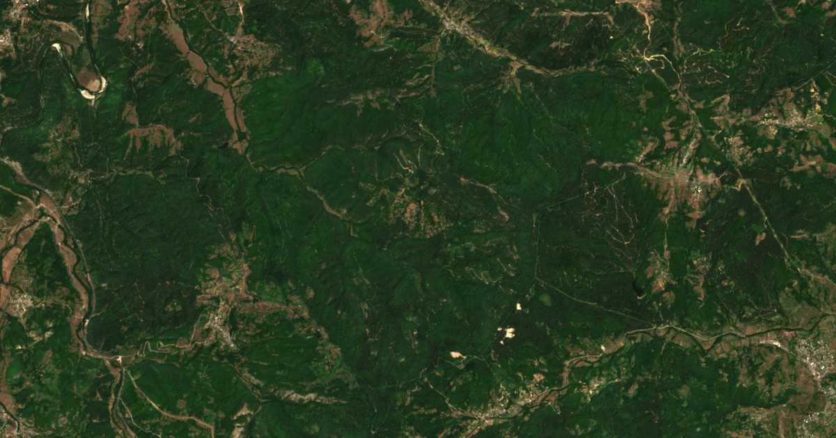 Сателитна карта на Царино