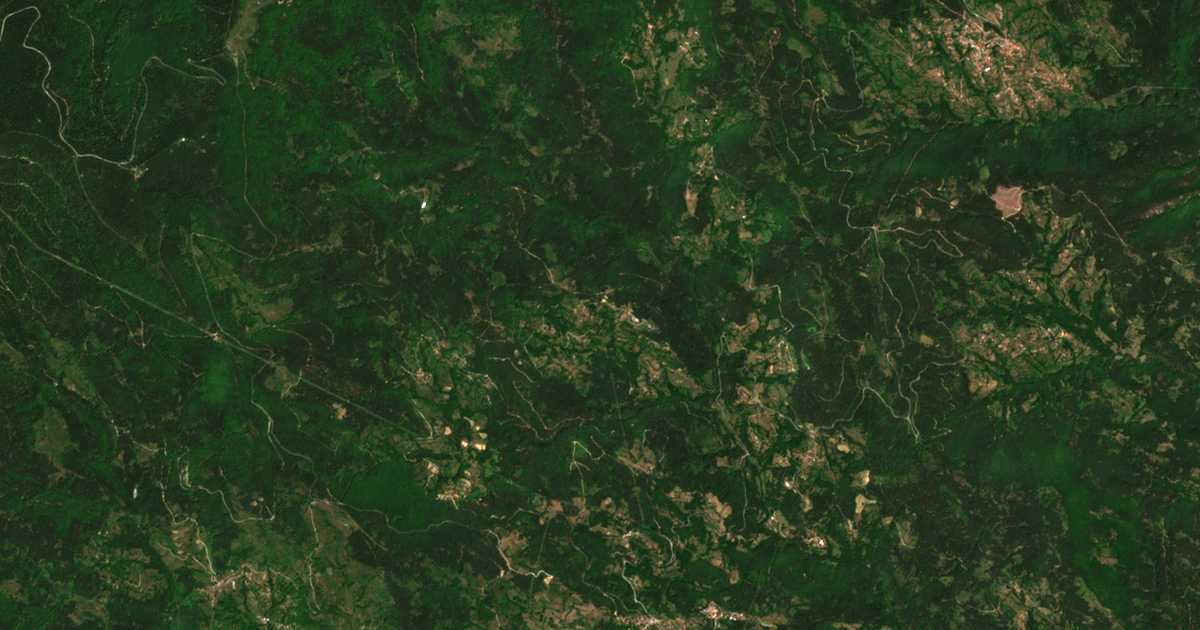 Сателитна карта на Босилково