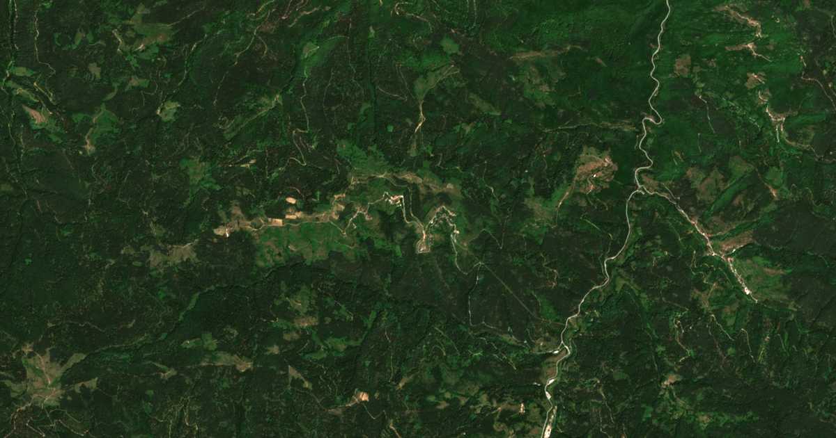 Сателитна карта на Зорница
