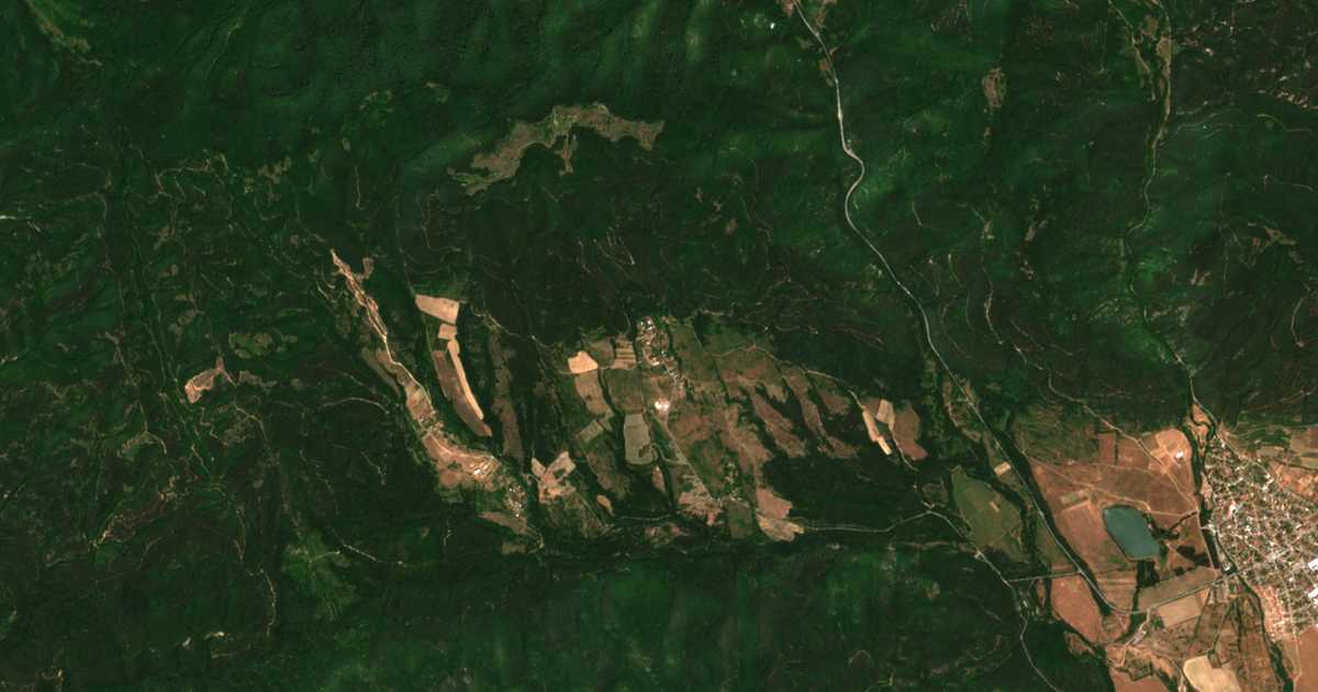 Сателитна карта на Димовци